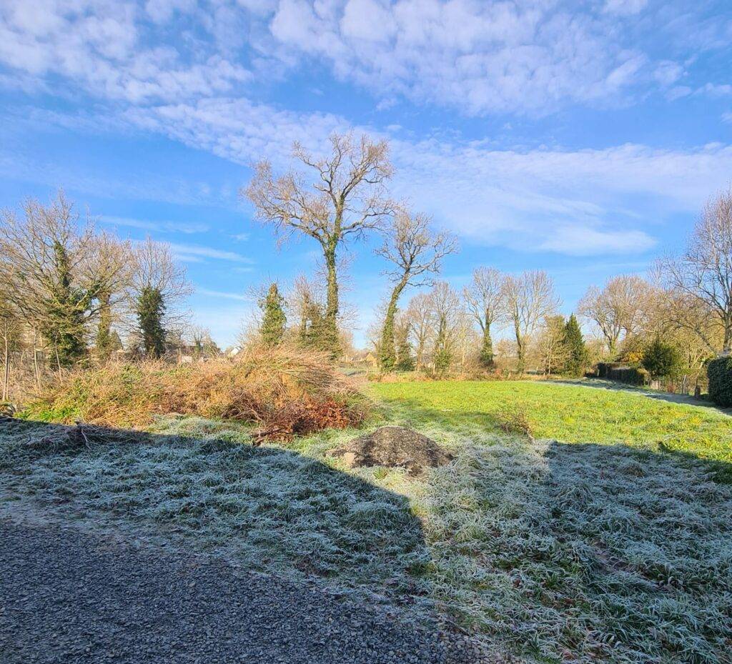 Whatsapp image 2025 03 11 at 20.48.22(5)